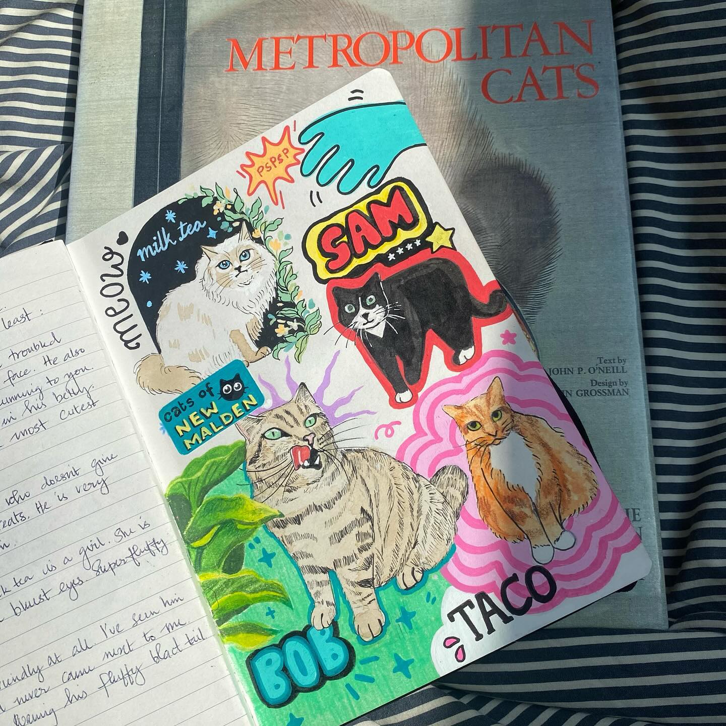 Cats of New Malden Part 2 — marker drawing
