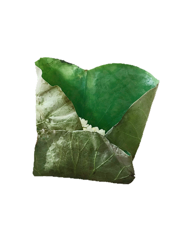 A square pouch folded from a green leaf, with a little rice showing at the opening